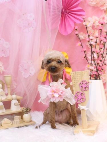 20250305もかちゃん 